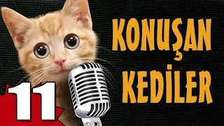 Konuşan Kediler 11 - En Komik Kedi Videoları