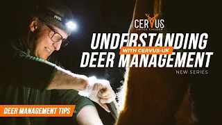 An Introduction | Understanding Deer Management