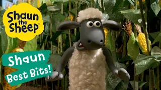Get Your Goat | Shaun the Sheep Best Bits Season 6