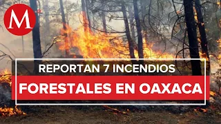 Reportan 7 incendios forestales activos en Oaxaca