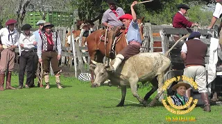 Fiesta criolla Apeadero Don Gonzalo 14 de acosto de 2022a #caballos #jinete #charreada #jaripeo