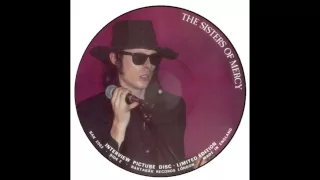 Sisters of Mercy Interview 1988