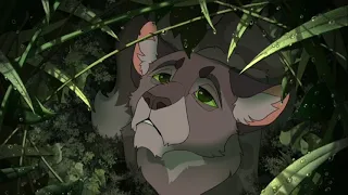 Warrior cats AMV- It Has Begun