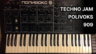 Raw Techno Jam with Polivoks and 909