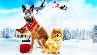 Doggy Dog | Film Complet en Français | Famille