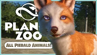 All Piebald Animals & How To Get Them! | Planet Zoo Update 1.11