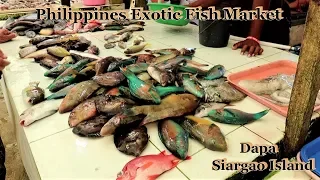 PHILIPPINES EXOTIC WET FISH MARKET : DAPA - SIARGAO ISLAND PHILIPPINES