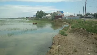 Кульсары,  28.05.2019, озеро Камысколь