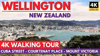 WELLINGTON New Zealand 4K Walking Tour | Cuba Street - Courtenay Place - Mount Victoria 4K Walk