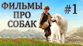 Фильмы про собак (1 часть)