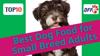 Top 10 Best Dog Food for Small Breed Adults💛Best Small Breed Dog Foods(Reviews)✅Buying Guide 2021