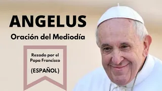 ANGELUS - Oración del mediodía, rezada por el Papa Francisco (Español)
