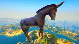 GTA 5 Ragdolls Water Donkey Funny Moments, Fails, Jumps, Parkour, Stunts (GTA 5 Euphoria Physics) 4k