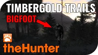 THE HUNTER - BIGFOOT - A SHORT FILM! 🐗 || Let's Play The Hunter || PantoffelPlays