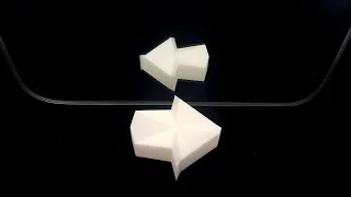 Make 3D Printed Optical Illusions | Science Project