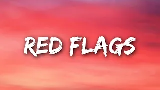 Mimi Webb - Red Flags (Lyrics)