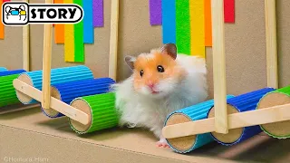 The Best Hamster Challenges - Hamster Escapes from the Most Amazing Mazes 🐹 Homura Ham Pets