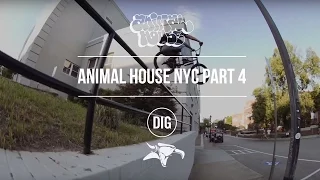 Animal House NYC - Part 4 - Affiliates, AM's and OG's