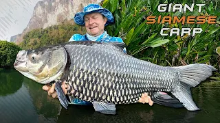 Gábor Döme – The Giant Siamese Carp