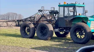 Нова ділянка і наша озима пшениця 🌾 2024