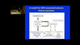 Cytomegalovirus (CMV) in Critical Illness: Hidden Pathogen or Innocent Bystander?