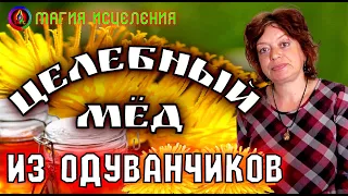 Целебный мед из Одуванчиков, как приготовить мед из Одуванчиков | Одуванчиковый мёд рецепт