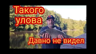 Такой рыбалки давно не было! Рыбалка с Георгом. Карпфишинг.