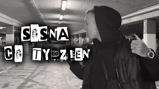 [SOSNA]-„[CO TYDZIEŃ]” (prod.@Frozone Beats).