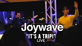 Joywave "It's A Trip!" - ALT947 Music Discovery Series
