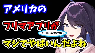 【kson】日本の方はもしかしたらご存知ないかもですけど…アメリカのフリマアプリが無法地帯すぎてやばいんですよね…【kson切り抜き/VTuber】