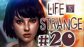 Life is Strange прохождение Эпизод 3 Теория хаоса   Проникновение в фургон Френка #20