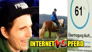 Paluten REAGIERT auf Realer Irrsinn - Pferd schneller als das INTERNET!