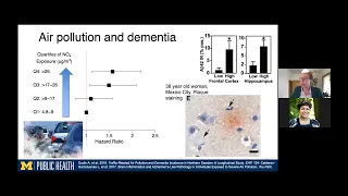 Exposures and Dementia Risk  What Do Environmental Chemicals Have To Do With It