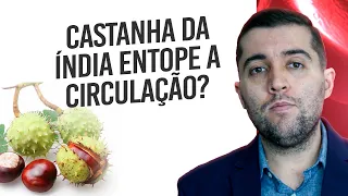 Castanha da índia, má circulação, trombose, varizes e embolia: ela pode afinar o sangue nas veias?