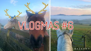 WINTER ROUTINES FOR HAPPY HORSES ~ Vlogmas #6