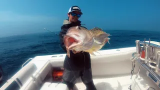 Deep Dropping for Golden Tilefish #youtube