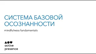 Презентация программы «Система базовой осознанности»