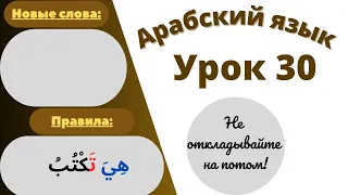 Начните сейчас! Арабский язык для начинающих. Урок 30