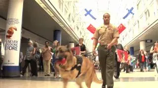 American Airlines sendoff for Lucca