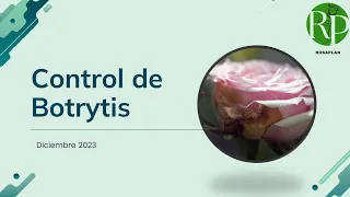 Rosaplan: Control de Botrytis