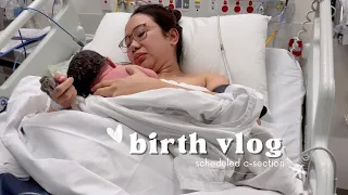 birth vlog | reason for c-section, scheduled c-section experience 🇦🇺