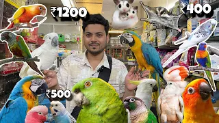 Start ₹250😱 sab se saasti shop  Animals  Birds  cheapest Pet market in Mumbai