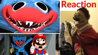 SMG4: If Mario Was in Poppy Playtime Reaction (Puppet Reaction)