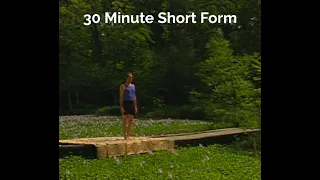 Short Form 30 Min : 1995 (Ashtanga Yoga - David Swenson)