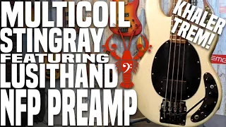 Multicoil Stingray Madness w/ Lusithand NFP Preamp & Kahler Bass Trem! - LowEndLobster Fresh Look