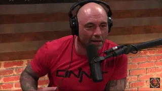 Joe Rogan Reacts to the Tommy Robinson Story