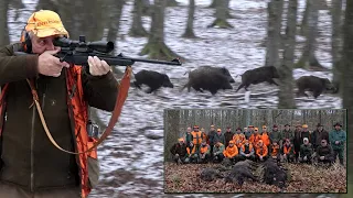 Wild Boar Hunting in Croatia 2021. - Hunting ground "Krivaja"