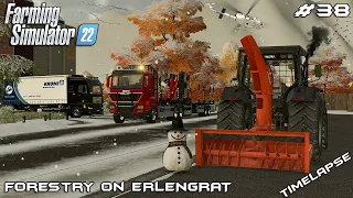 Buying new EQUIPMENT and removing SNOW | Forestry on ERLENGRAT | Farming Simulator 22 | Episode 38