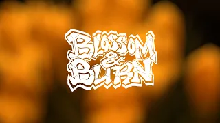 Blossom & Burn - Sing Along With Mr. Pink Noise (Official Single Stream)