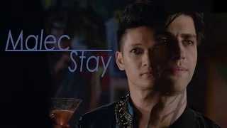 Malec || Stay